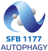 SFB1177 Autophagy